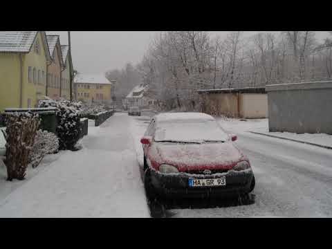 Daniels Kolumne - Der Schnee vom 30 .1. 2019