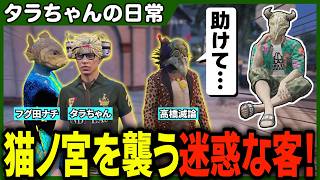 衛星外タクシー運転手の猫ノ宮に対して自作自演で迷惑な客になりきり大困惑させるタラちゃん【ふぁんきぃ・フグ田・高橋滅論・葛城・ももみ・ノビー】 #ストグラ