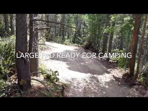 2850 Moir Ln Fort Garland co