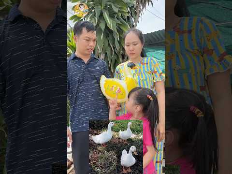 Có bao nhiêu con vịt?