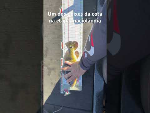 Peixe 1/6 etapa da Liga Goiana em Inaciolândia/GO