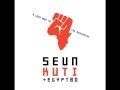 Seun Kuti & Egypt 80 - Black Woman 