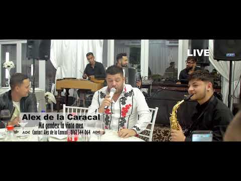 Taraful Oltenesc Alex de la Caracal - Ma gandesc la viata mea [ Live ]