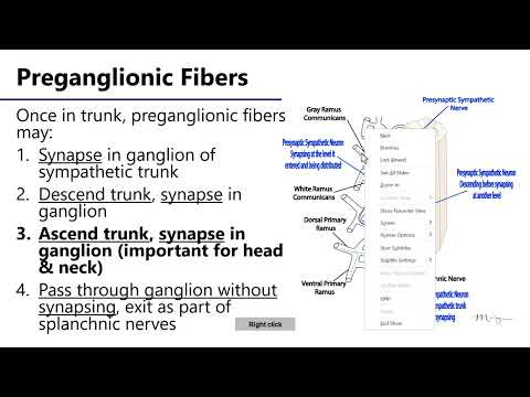 Sympathetic Structure LO2 - M1 Anatomy Learning Objectives