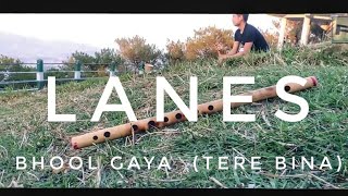 LANES - Bhool gaya( Tere bina) [Official music video]