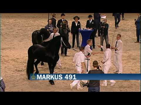 KFPS Hengstenkeuring 2016 Algemeen kampioenschap