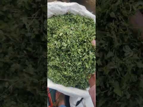 15kg bags. dried fenugreek leaves, kasoori methi