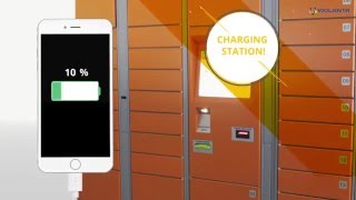 Electronic charging lockers production business