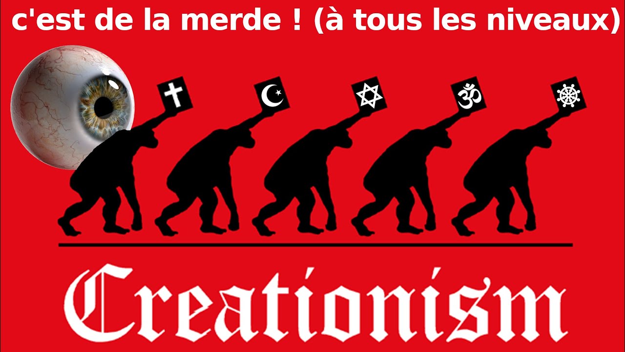 👁️L'œil👁️ humain, un "design" à 💩chier💩 contrairement à la 📹caméra📹 (les merdes de l'évolution n°6)