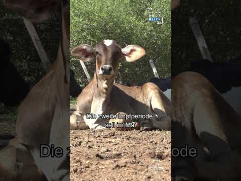Wochenrückblick - Inklusion - Maul und Klauenseuche - Wirtschaftsminister - Landwirtschaftsumfrage