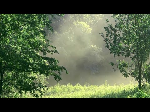 Opwekking 266 - Heer, U leidde mij in de wildernis