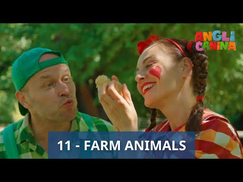 11. Lekcia - FARM ANIMALS | domáce zvieratá | ANGLIČANINA 2
