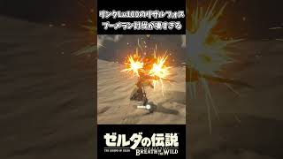 戦闘に特化した厄災リンクLv100がこちらｗｗ【ゼルダの伝説 ブレス オブ ザ ワイルド】