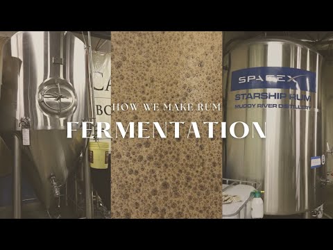 How We Make Rum: Fermentation