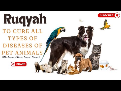 Ruqyah for cure of All types of Diseases, Evil Eyes, Devil & Black magic Possession in pet Animals