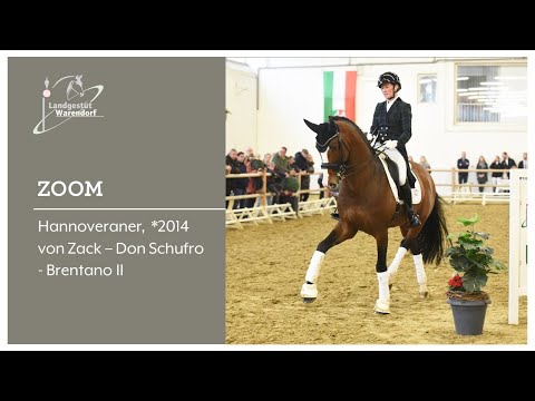 Zoom beim Züchtersonntag 26 03 2023