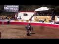 Alexa Castillo. El tarro de la esencia con caballos ...