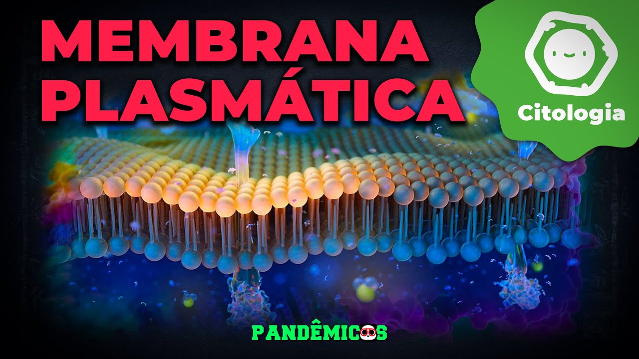 Membrana plasmática