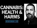 The Effects of Cannabis (Marijuana) on the Brain & Body | Huberman Lab Podcast #92