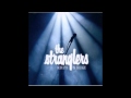The Stranglers - Old Codger [Live Version]