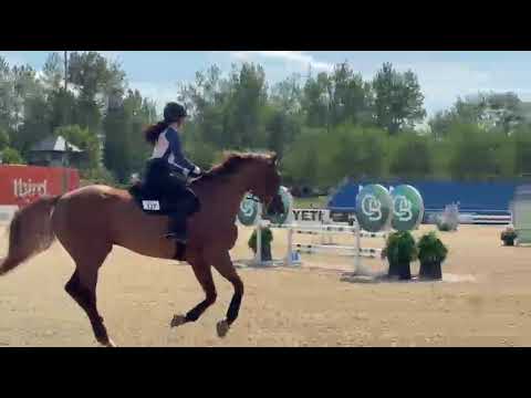 Whixall's Candy Boy video 2