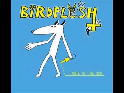 Birdflesh - Taste of the Sun (with Lyrics)