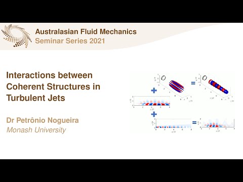 AFMS Webinar 2021 #30 - Dr Petrônio Nogueira (Monash University)