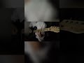Sky Falling For Her Whatsaheart Skyfallingforyou Whatsaheart Fypシ Noctis Guitarcover