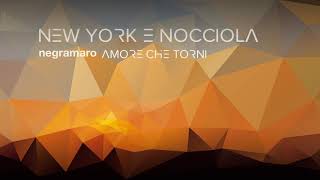 New York e nocciola Music Video