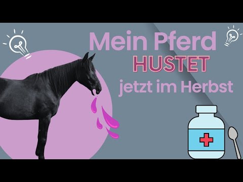 Mein Pferd hustet - Oktober/Herbst und Zusammenhang