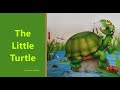 The Little Turtle