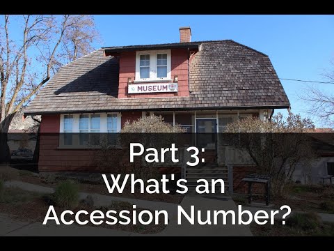 Behind the Scenes Part 3: What is an Accession Number?