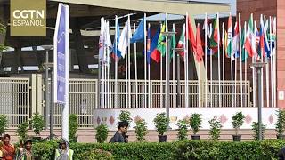 Especialista brasileño en relaciones internacionales analiza la próxima reunión de los países BRICS