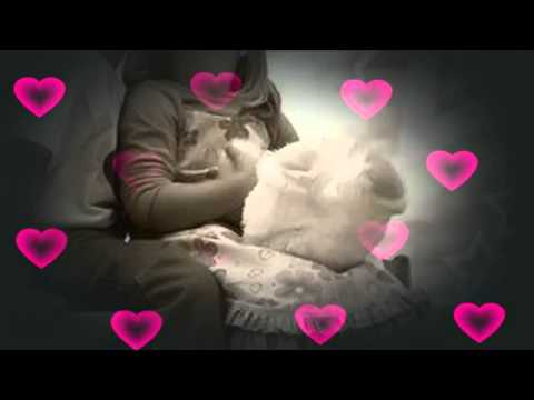 Estrellas De La Kumbia - Olvidarme sera Imposible (ovnimx)