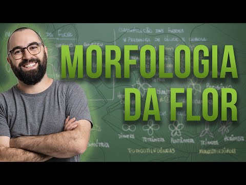 Organologia da Flor (Morfologia) - Aula 18: Botânica (Prof. Guilherme)