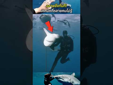 ฉลามนิ่งทันที! เทคนิคที่หลายคนไม่รู้ #สาระความรู้ #ฉลาม #วิธีหยุดฉลาม #shortvideo
