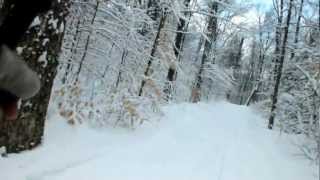 preview picture of video 'Skiing through a snowy forest on Fen Lake Ski Trail  - Algonquin Park - Ontario'