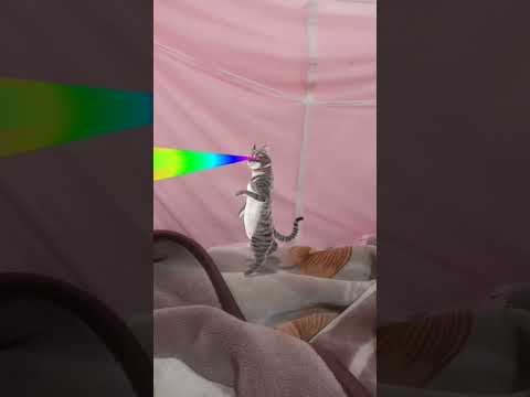 🤣😂😄🥰😃😙😙