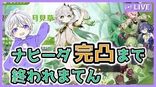 🔴ナヒーダ祈願を回したほうがいい理由を話します［原神ラジオ/GenshinImpact］