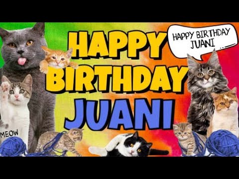 Happy Birthday Juani! Crazy Cats Say Happy Birthday Juani (Very Funny)