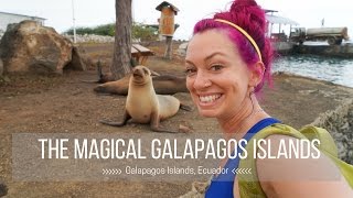 Traveling to the Galapagos Islands to Live the #FlightieLife