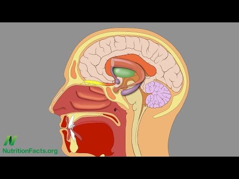 How to Prevent Alzheimer s With Diet