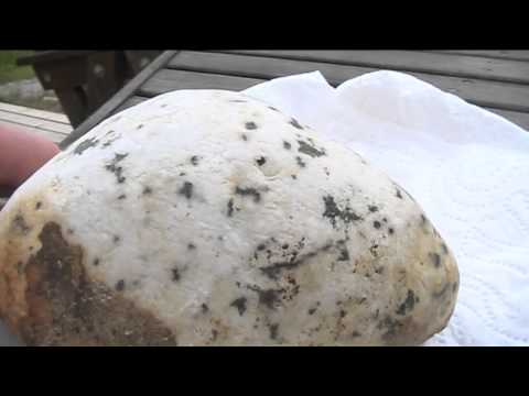 Oliha latteet löylyt