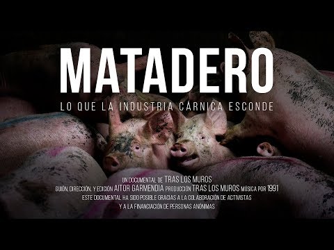 download lagu mp3 mp4 Tras Los Muros, download mp3 Tras Los Muros free download mp3, download mp3 Tras Los Muros