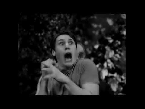 Jerma is ATTACKED by a GIANT BAT