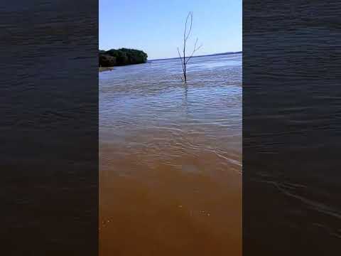 Y UN DÍA VOLVIMOS AL RÍO. CABAÑAS NAHUEL PUERTO YERUA. #pesca #fishing #barcopesqueiro #fish #rio