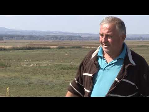 Može bolje ep. 80 15.10.2018. - Ekstenzivno stočarstvo