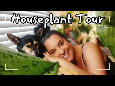 Houseplant Tour 2024🌿Chatty Tour of My Indoor Plant Collection