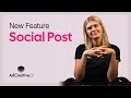 Introducing the brand new Social post feature | Create high quality creatives in less then 1minute