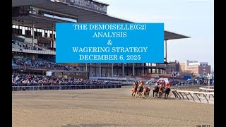 THE DEMOISELLE G2 ANALYSIS & WAGERING STRATEGY   DECEMBER 6, 2025